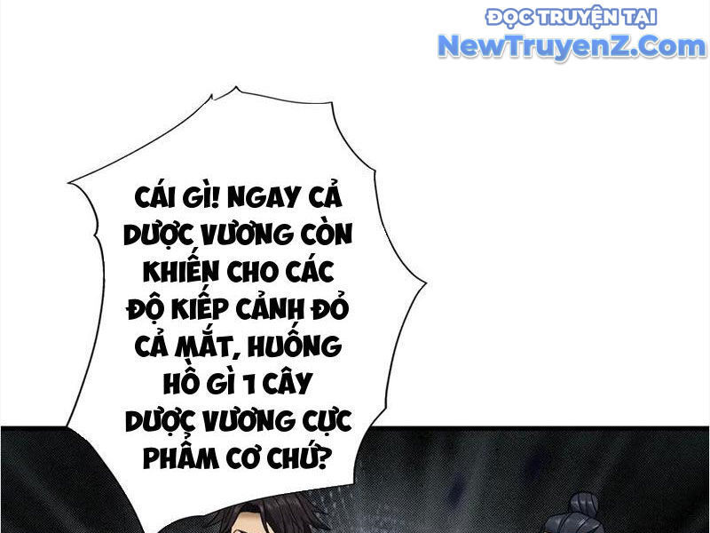 Gặp Mạnh Thì Càng Mạnh, Tu Vi Của Ta Không Giới Hạn - Chapter 48 - Page 26