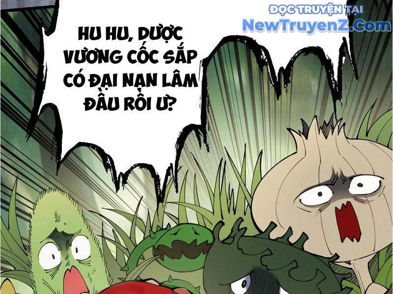 Gặp Mạnh Thì Càng Mạnh, Tu Vi Của Ta Không Giới Hạn - Chapter 48 - Page 4