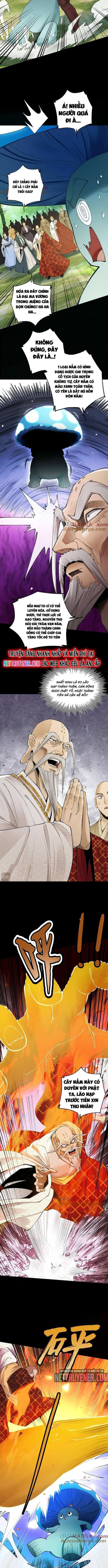 Gặp Mạnh Thì Càng Mạnh, Tu Vi Của Ta Không Giới Hạn - Chapter 49 - Page 7