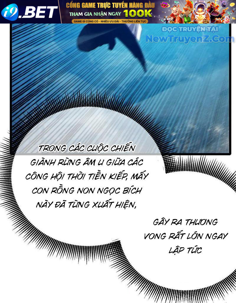 Vô Địch Bị Động Tạo Ra Tấn Sát Thương - Chapter 84 - Page 66