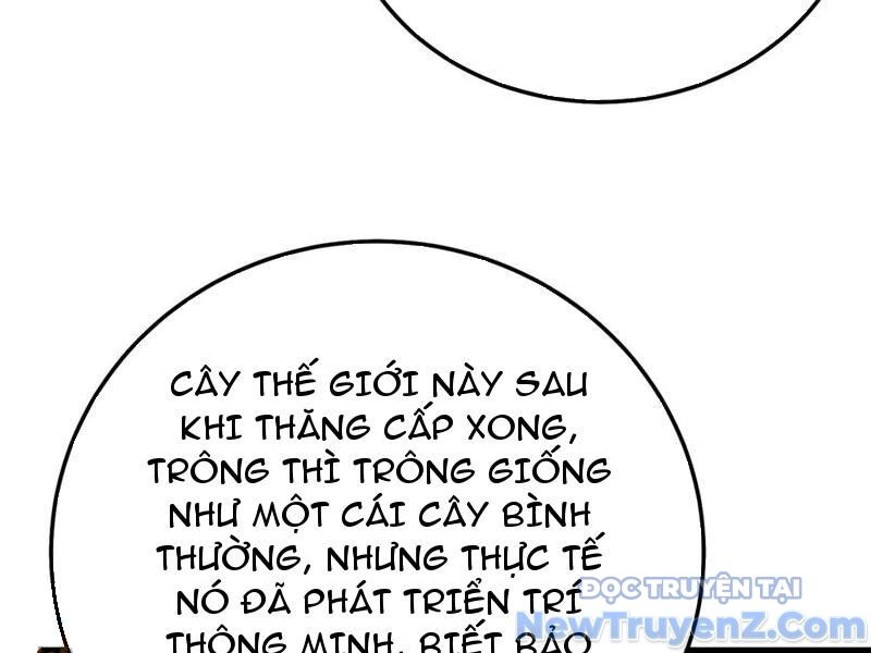Vô Địch Bị Động Tạo Ra Tấn Sát Thương - Chapter 88 - Page 76