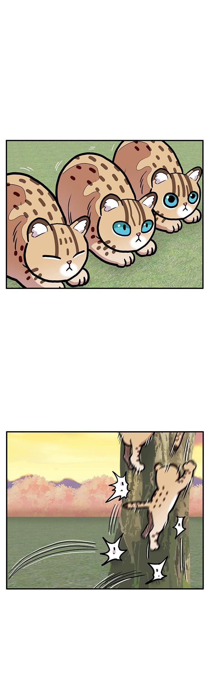 Chúa Tể Muôn Loài - Chapter 35 - Page 28