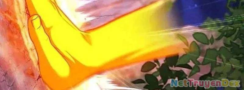 Thiên Tài Võ Thuật Hồi Quy - Chapter 77 - Page 73