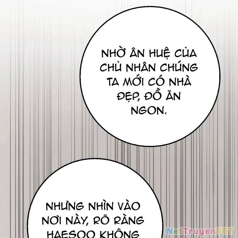 Thiên Tài Võ Thuật Hồi Quy - Chapter 79 - Page 41