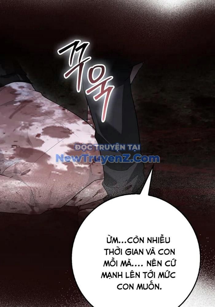 Thiên Tài Võ Thuật Hồi Quy - Chapter 95 - Page 13