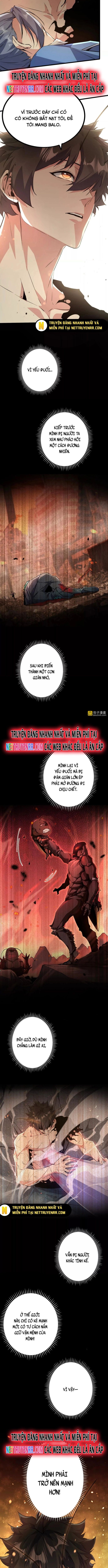 Mạt Thế Cẩu Sinh: Gián Giúp Ta Chồng Buff - Chapter 16 - Page 7