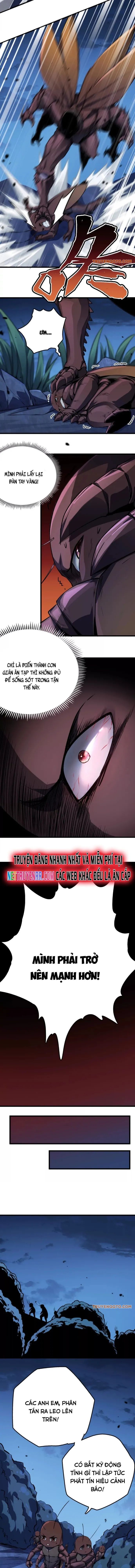 Mạt Thế Cẩu Sinh: Gián Giúp Ta Chồng Buff - Chapter 2 - Page 13