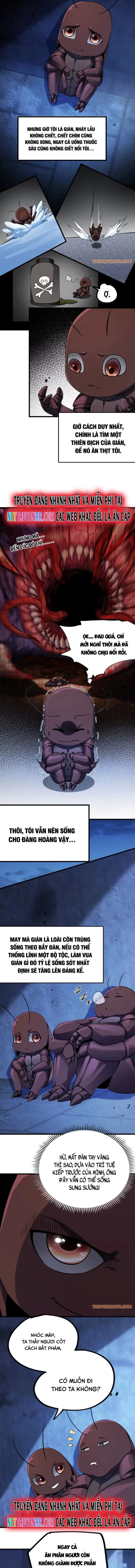 Mạt Thế Cẩu Sinh: Gián Giúp Ta Chồng Buff - Chapter 2 - Page 6
