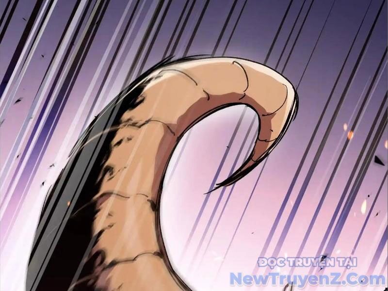 Mạt Thế Cẩu Sinh: Gián Giúp Ta Chồng Buff - Chapter 43 - Page 14