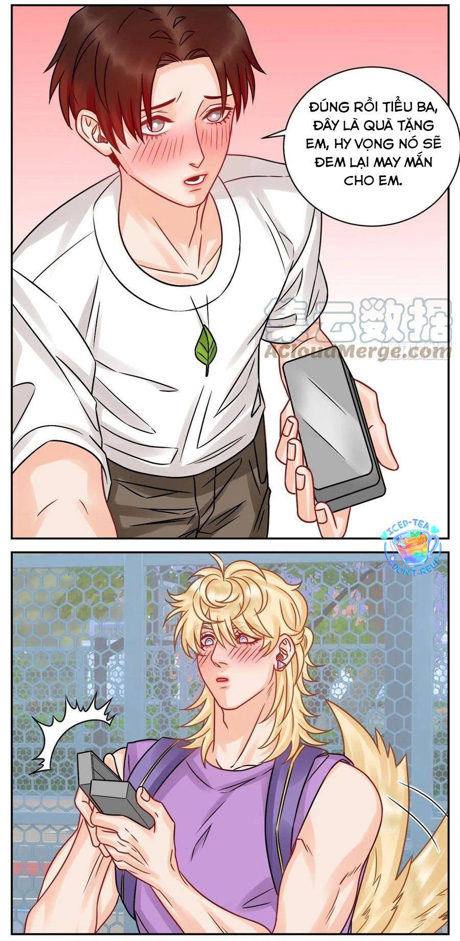 Ký Túc Xá Nam Phòng 303 - Chapter 184 - Page 3