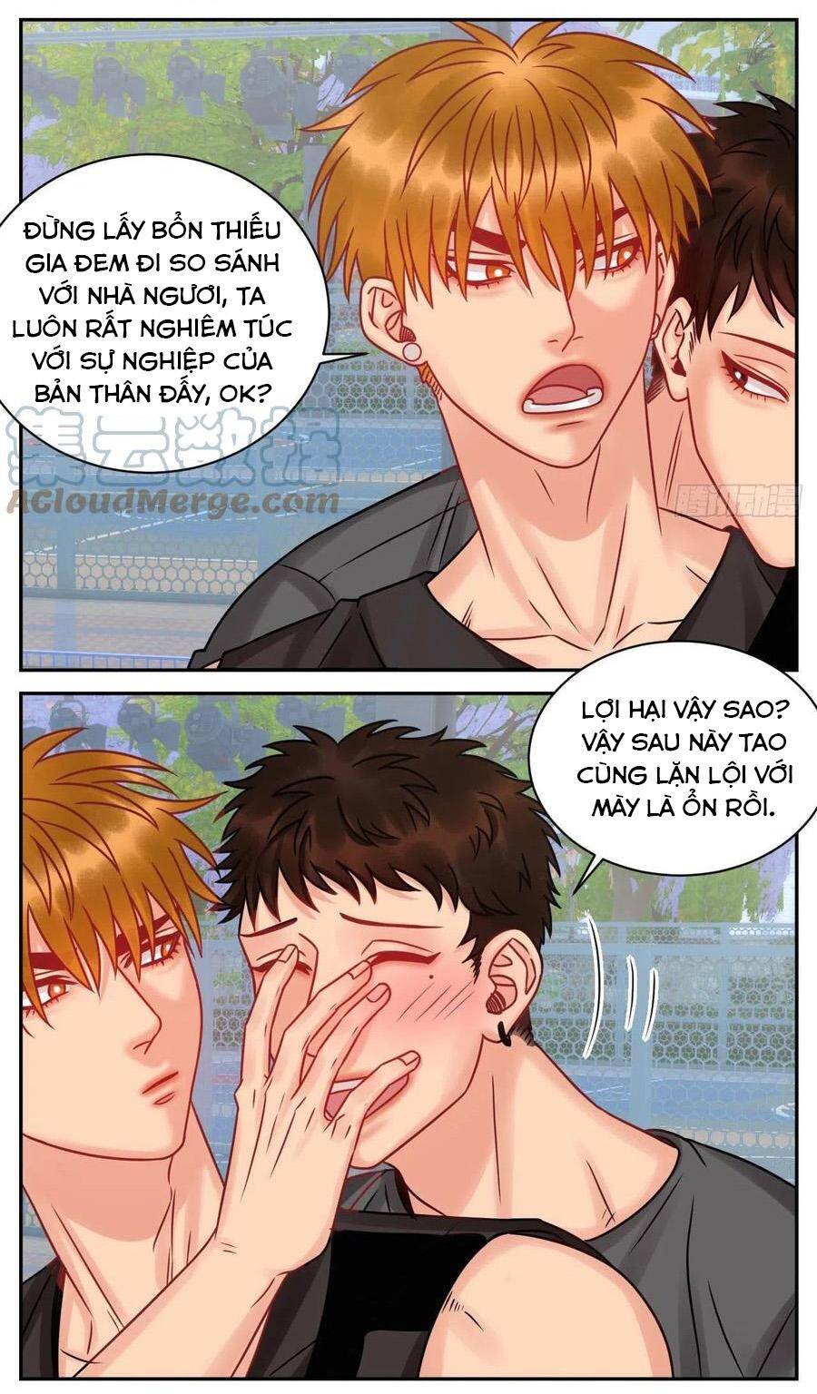 Ký Túc Xá Nam Phòng 303 - Chapter 184 - Page 7