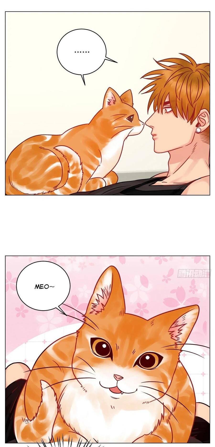 Ký Túc Xá Nam Phòng 303 - Chapter 189 - Page 15