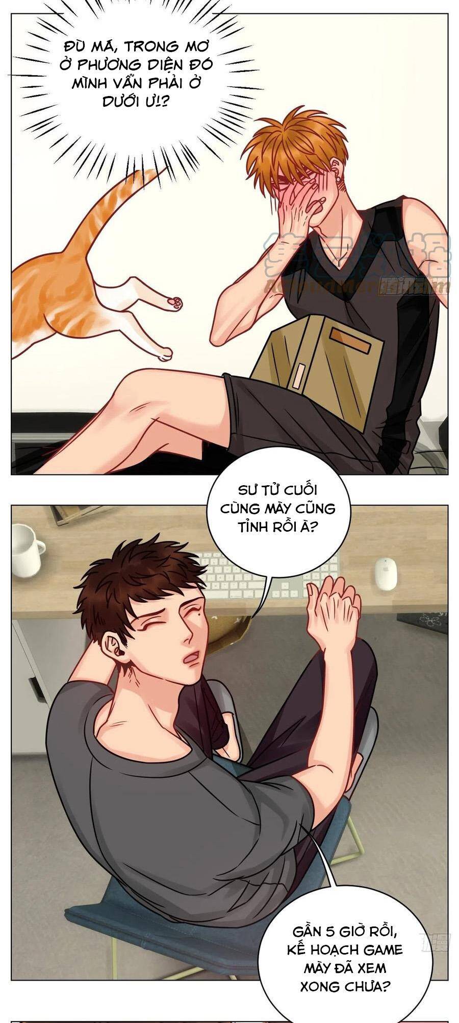 Ký Túc Xá Nam Phòng 303 - Chapter 189 - Page 16