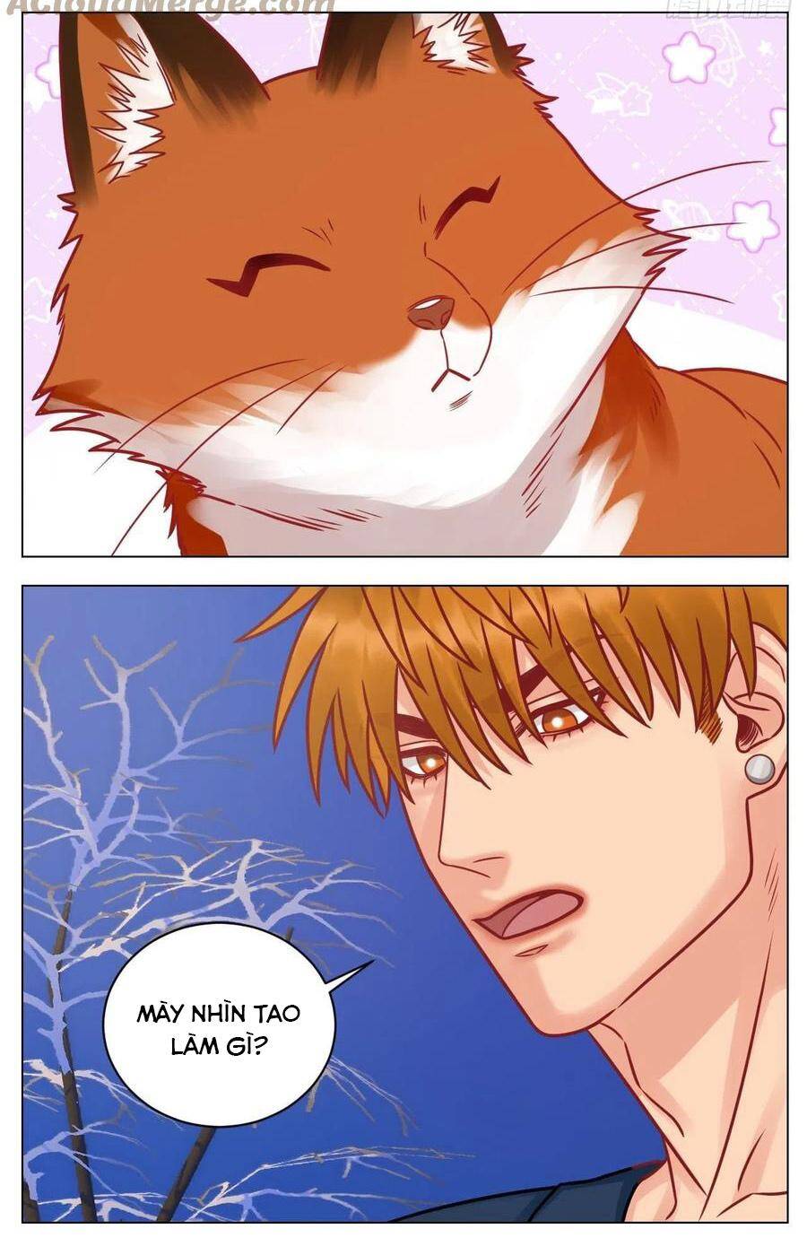 Ký Túc Xá Nam Phòng 303 - Chapter 189 - Page 5