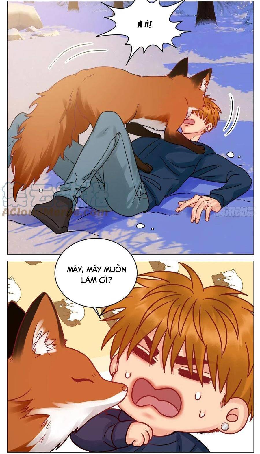 Ký Túc Xá Nam Phòng 303 - Chapter 189 - Page 7