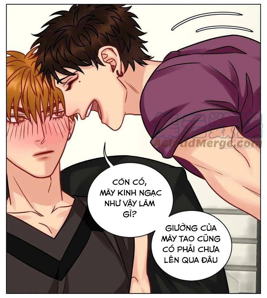 Ký Túc Xá Nam Phòng 303 - Chapter 191 - Page 3