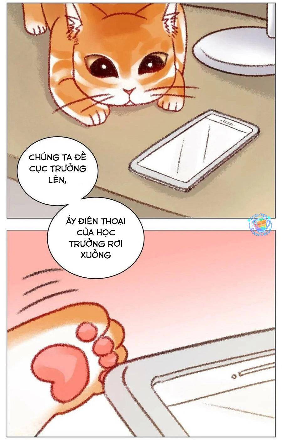 Ký Túc Xá Nam Phòng 303 - Chapter 196 - Page 12