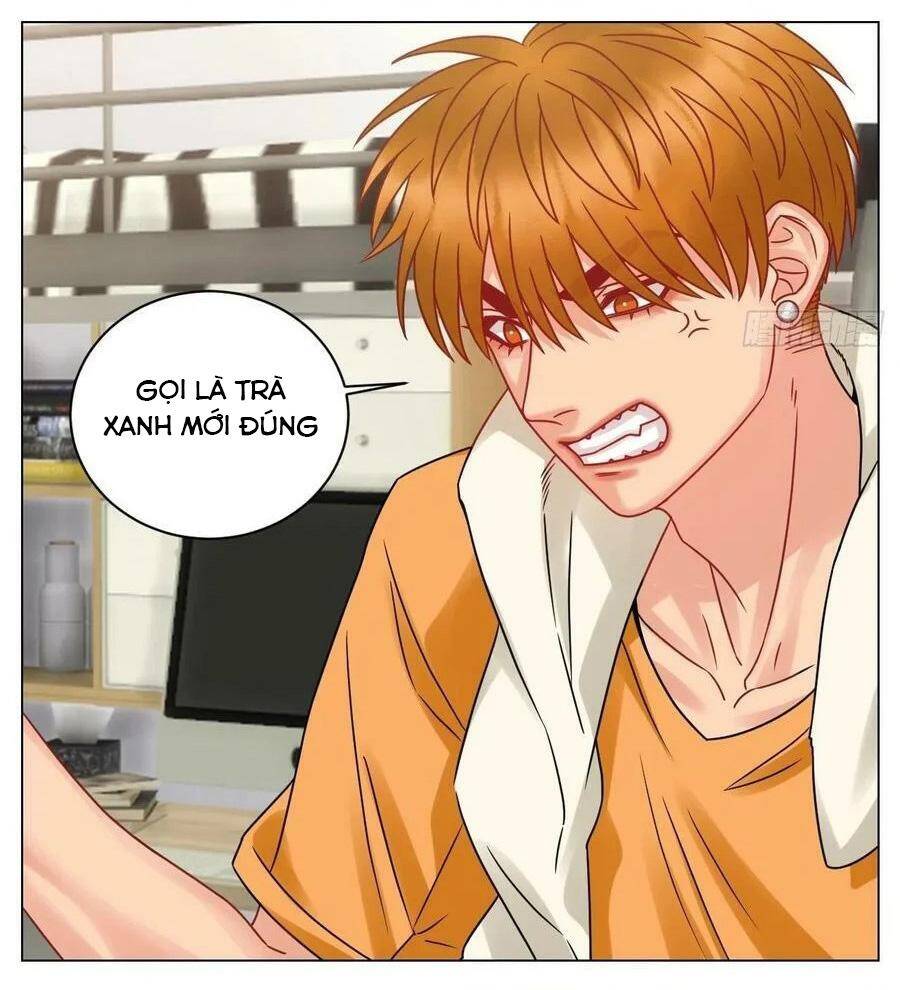 Ký Túc Xá Nam Phòng 303 - Chapter 198 - Page 17