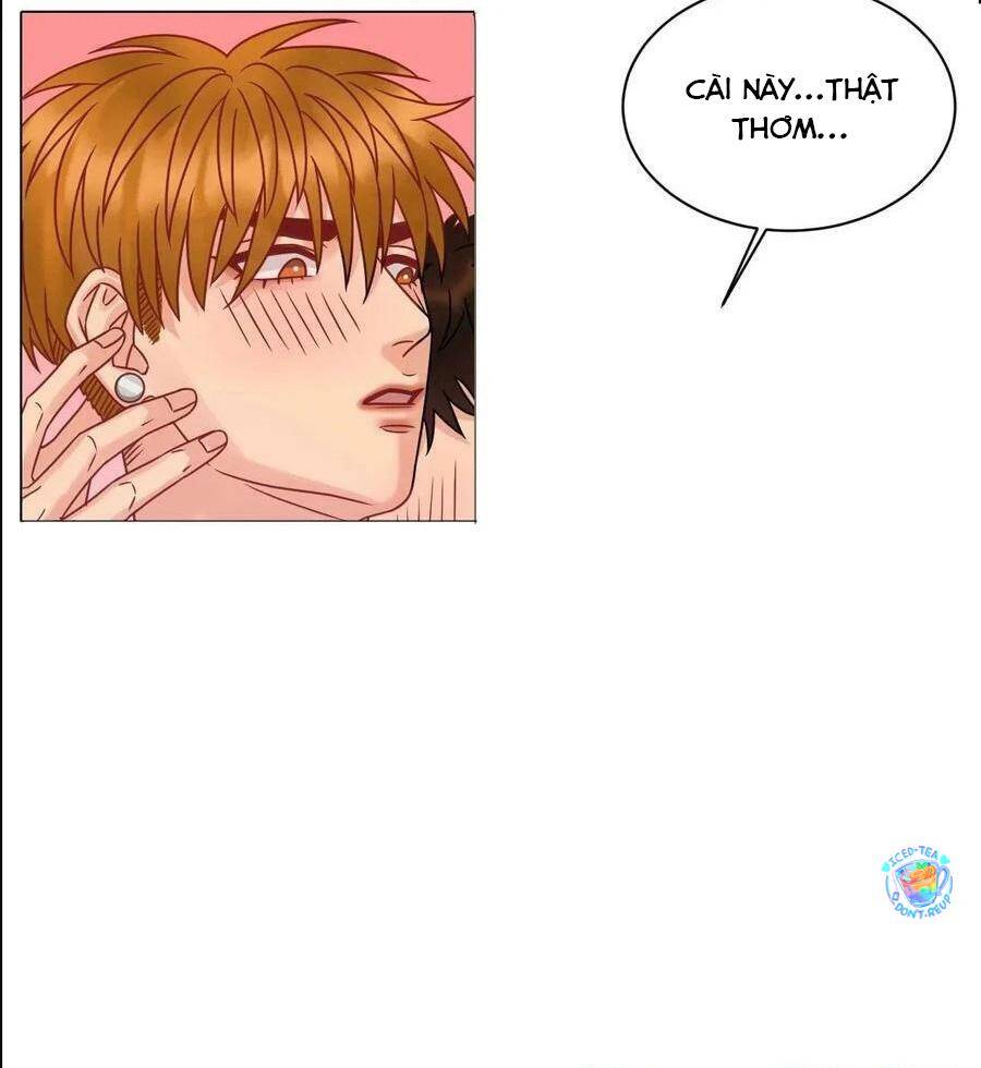 Ký Túc Xá Nam Phòng 303 - Chapter 199 - Page 18