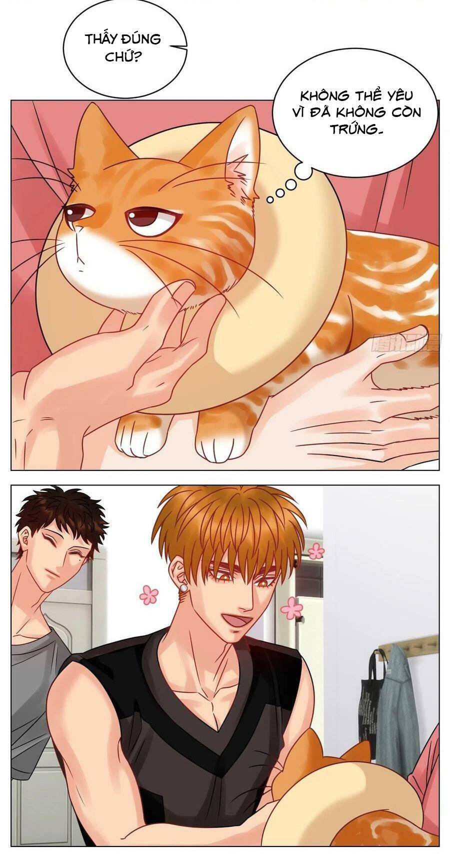 Ký Túc Xá Nam Phòng 303 - Chapter 204 - Page 5