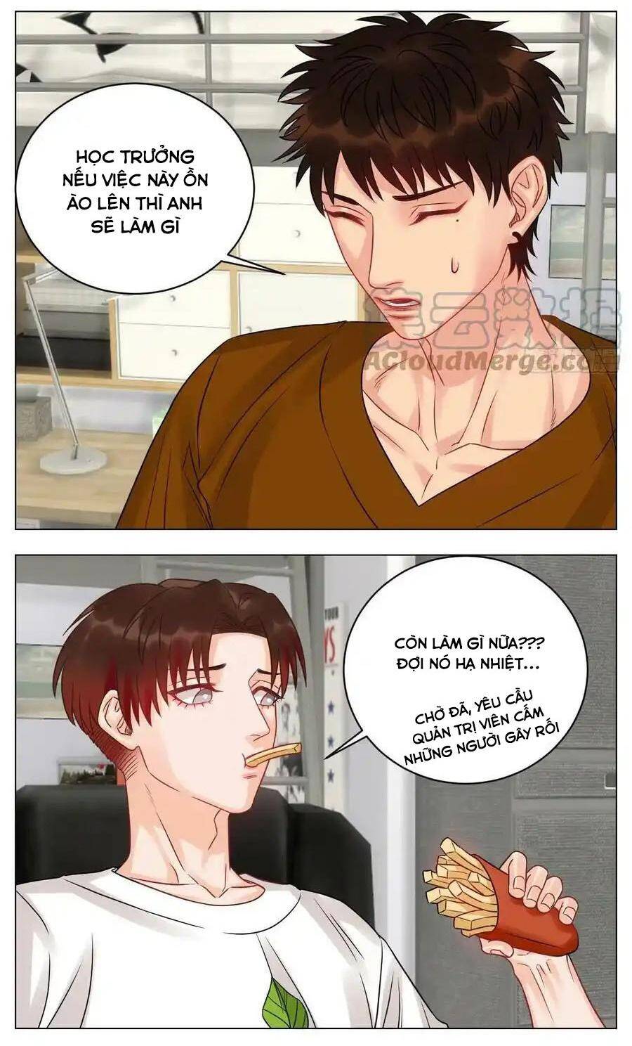 Ký Túc Xá Nam Phòng 303 - Chapter 211 - Page 8
