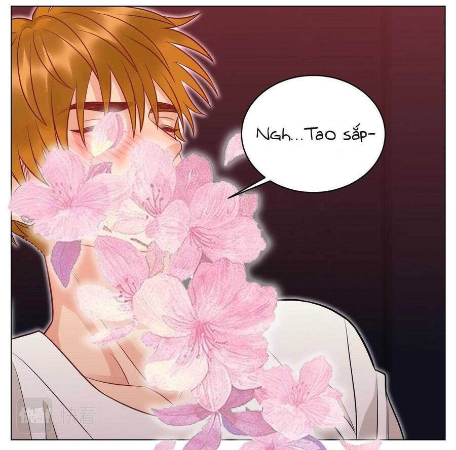 Ký Túc Xá Nam Phòng 303 - Chapter 232 - Page 19