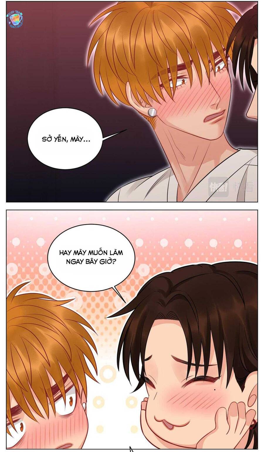 Ký Túc Xá Nam Phòng 303 - Chapter 233 - Page 17