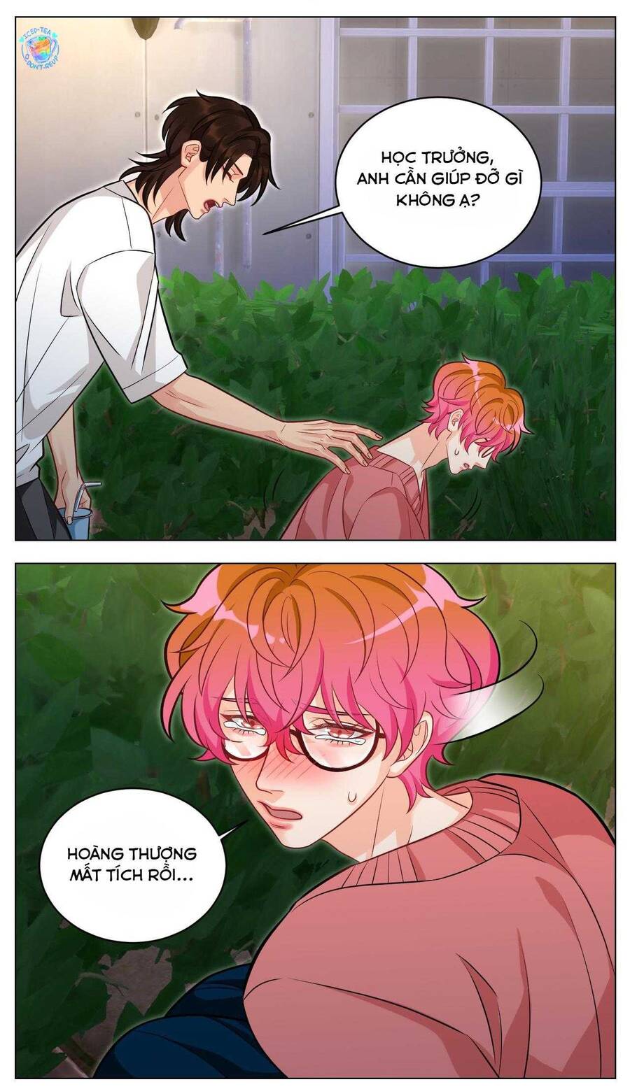 Ký Túc Xá Nam Phòng 303 - Chapter 237 - Page 4