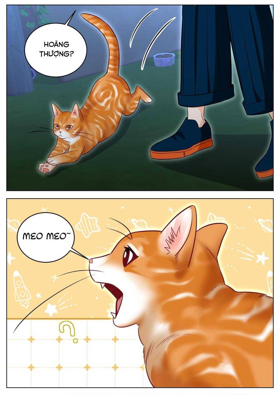 Ký Túc Xá Nam Phòng 303 - Chapter 238 - Page 6