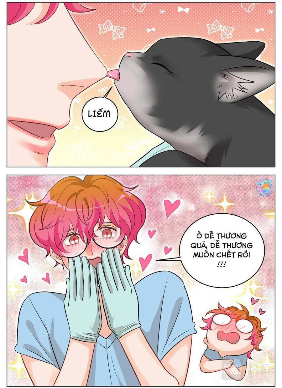 Ký Túc Xá Nam Phòng 303 - Chapter 239 - Page 12