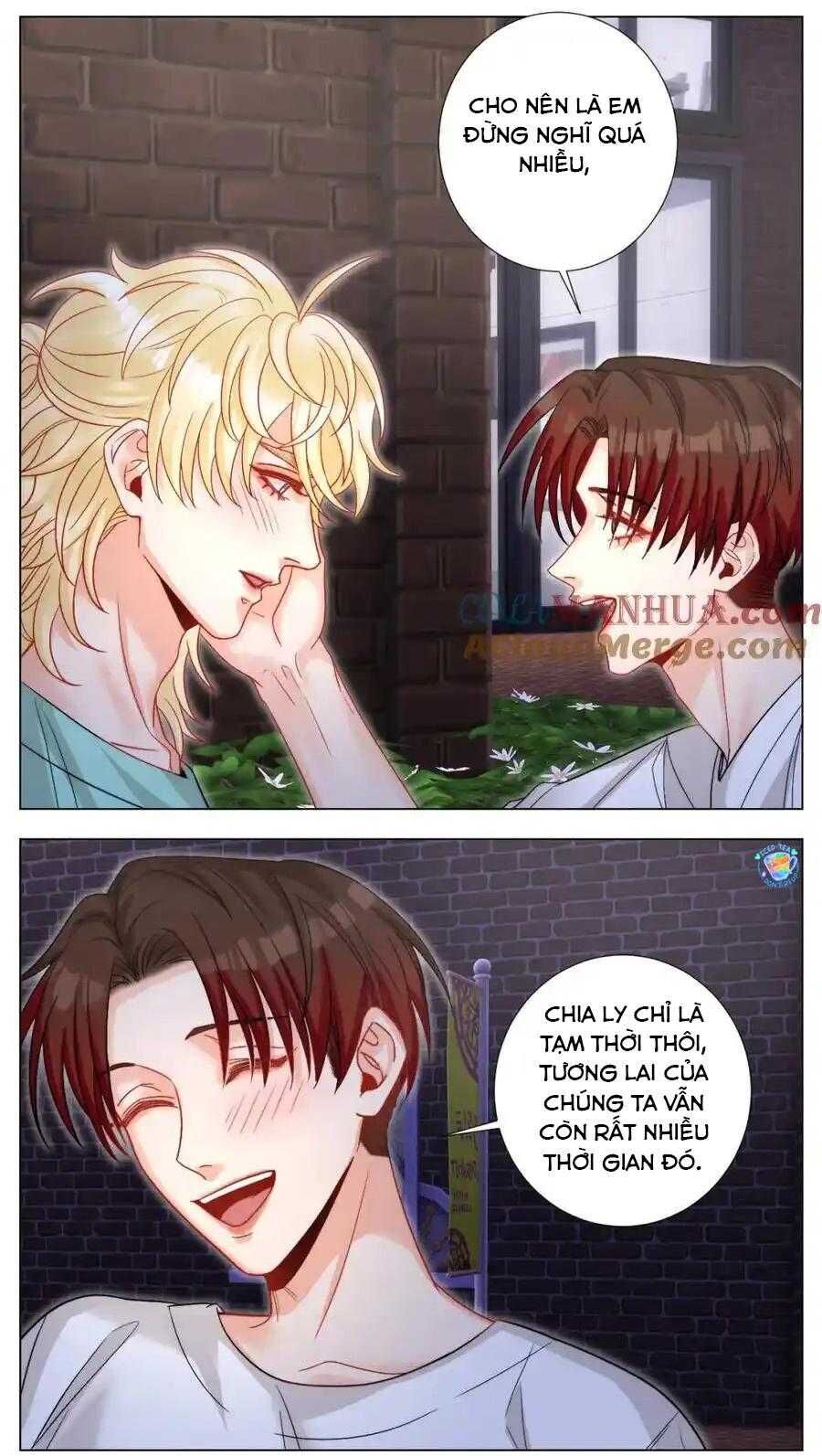 Ký Túc Xá Nam Phòng 303 - Chapter 244 - Page 14