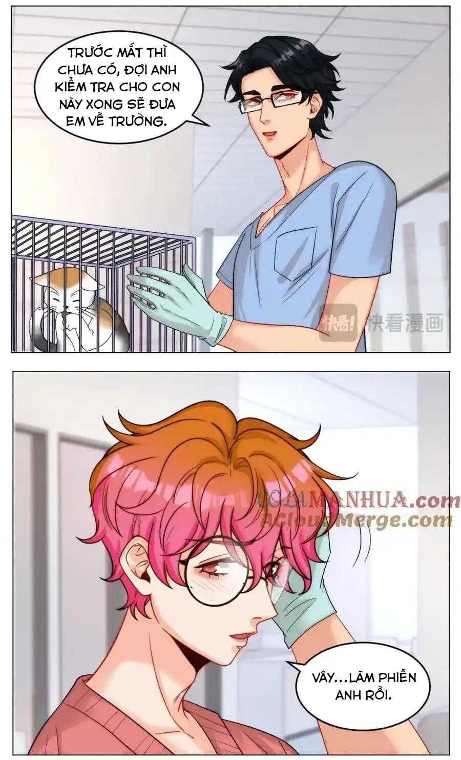 Ký Túc Xá Nam Phòng 303 - Chapter 245 - Page 4