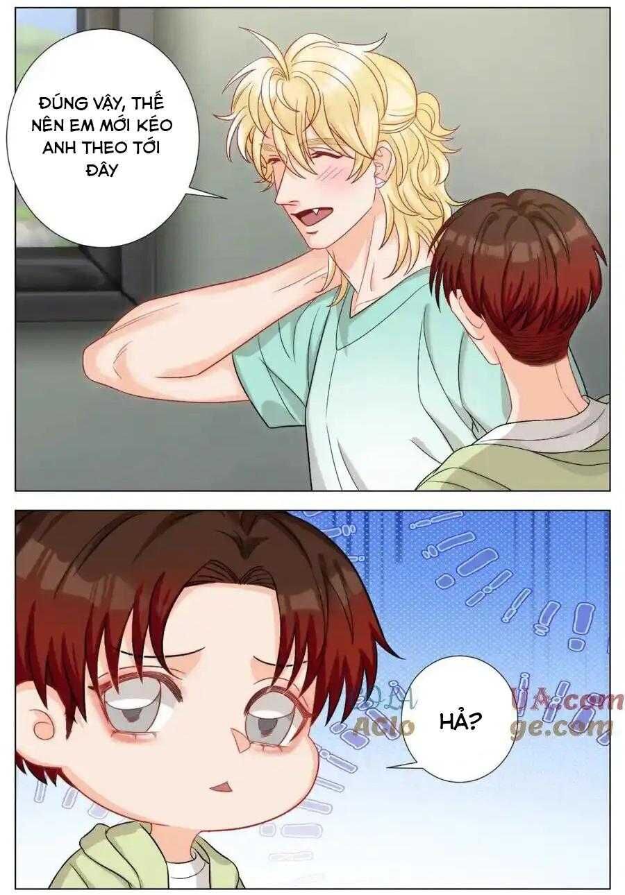 Ký Túc Xá Nam Phòng 303 - Chapter 246 - Page 3