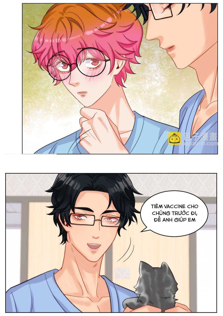 Ký Túc Xá Nam Phòng 303 - Chapter 249 - Page 17