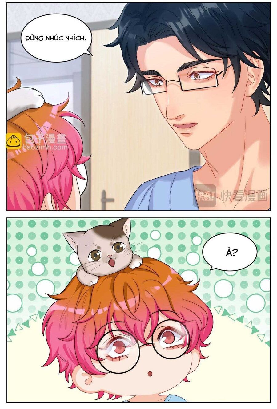 Ký Túc Xá Nam Phòng 303 - Chapter 249 - Page 5