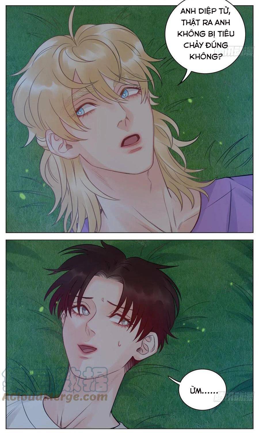 Ký Túc Xá Nam Phòng 303 - Chapter 51 - Page 17