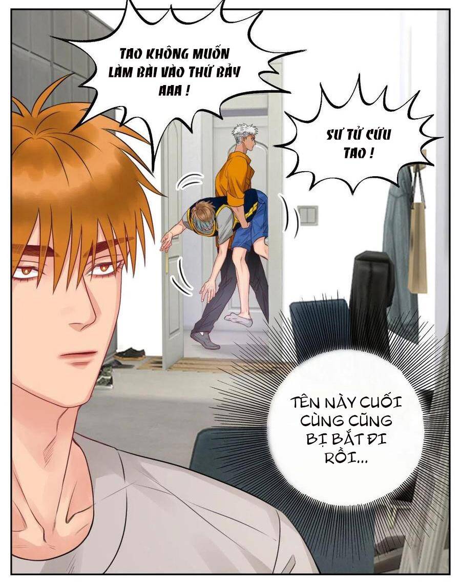 Ký Túc Xá Nam Phòng 303 - Chapter 52 - Page 5