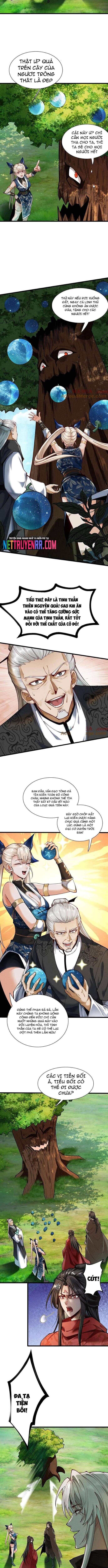 Gặp Mạnh Thì Càng Mạnh, Tu Vi Của Ta Không Giới Hạn - Chapter 50 - Page 3