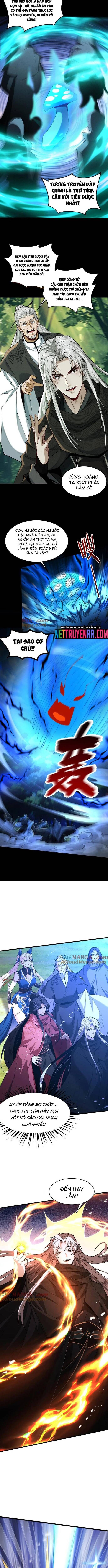 Gặp Mạnh Thì Càng Mạnh, Tu Vi Của Ta Không Giới Hạn - Chapter 50 - Page 7