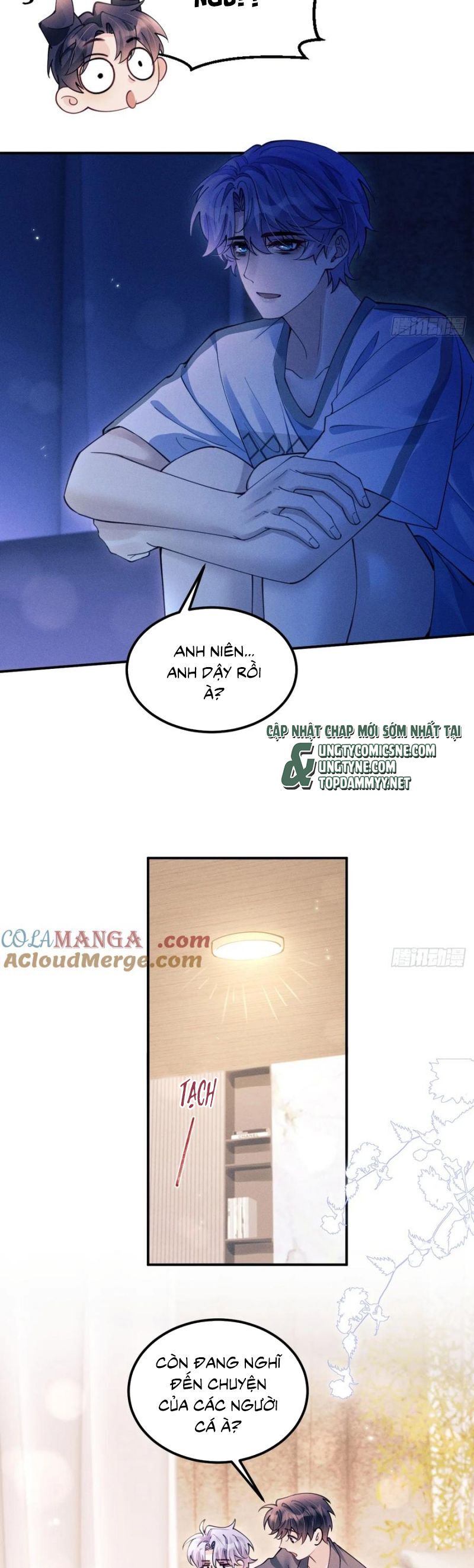 Tôi Hoài Nghi Ảnh Đế Đang Theo Đuổi Tôi Chapter 191 - Trang 5