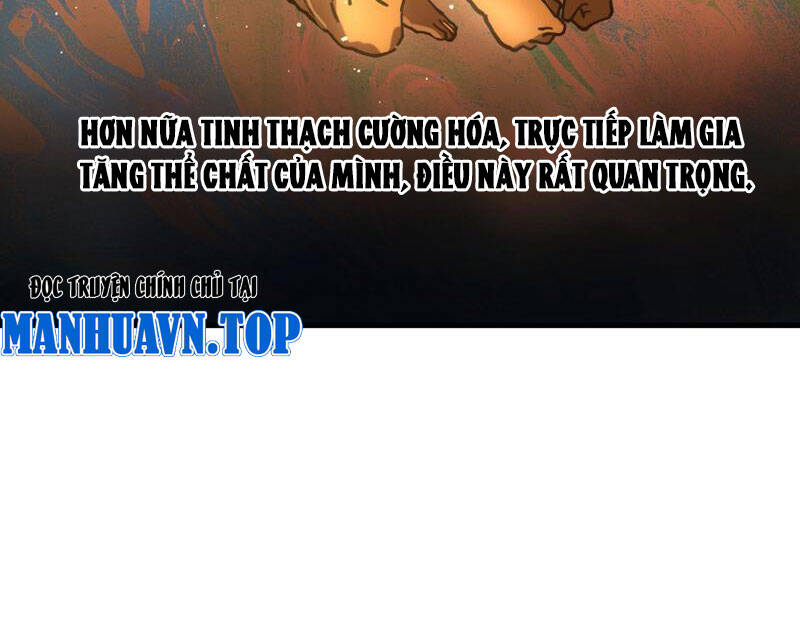 Toàn Cầu Ngự Thú: Ta Có Thể Thấy Lộ Tuyến Tiến Hoá - Chapter 2 - Page 26