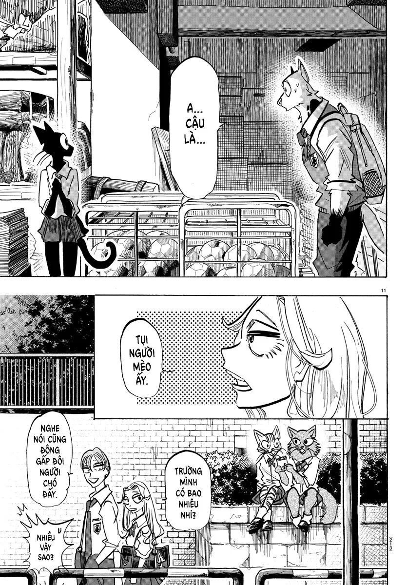 Lý Trí Của Taika - Chapter 10 - Page 10