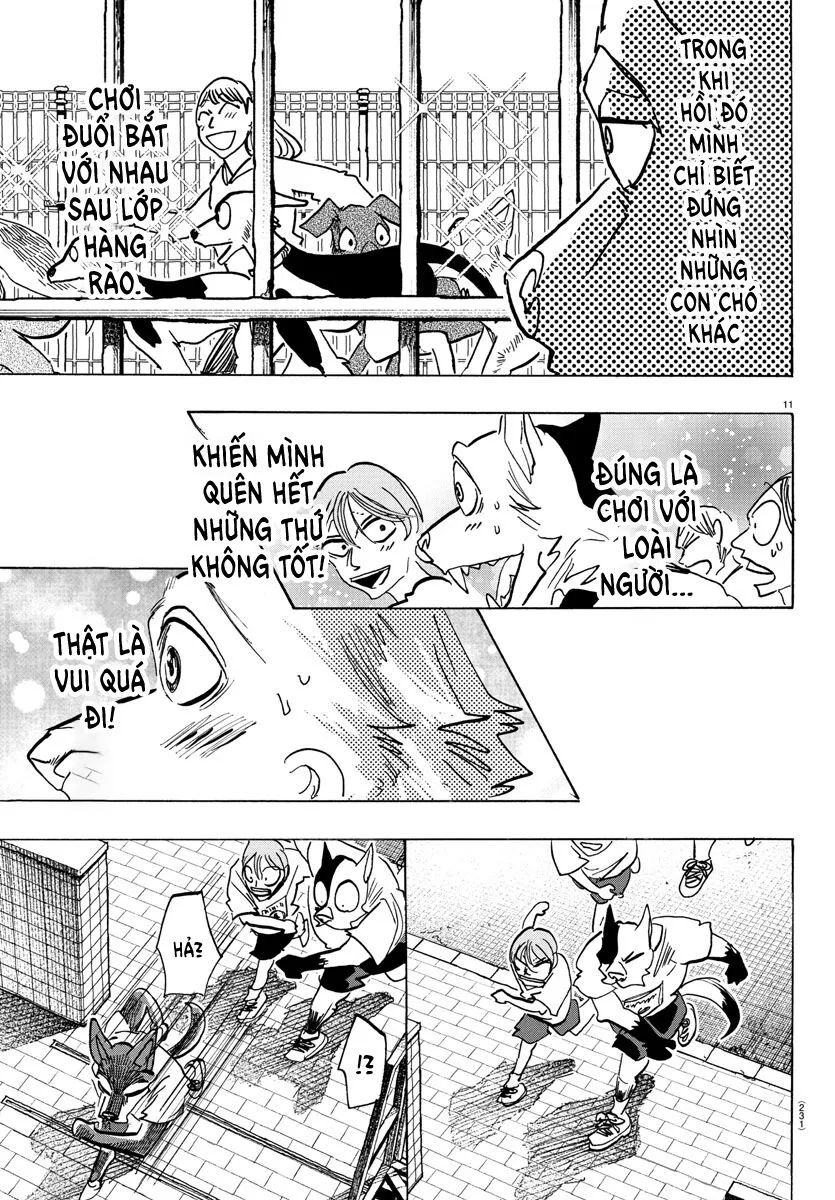 Lý Trí Của Taika - Chapter 11 - Page 11