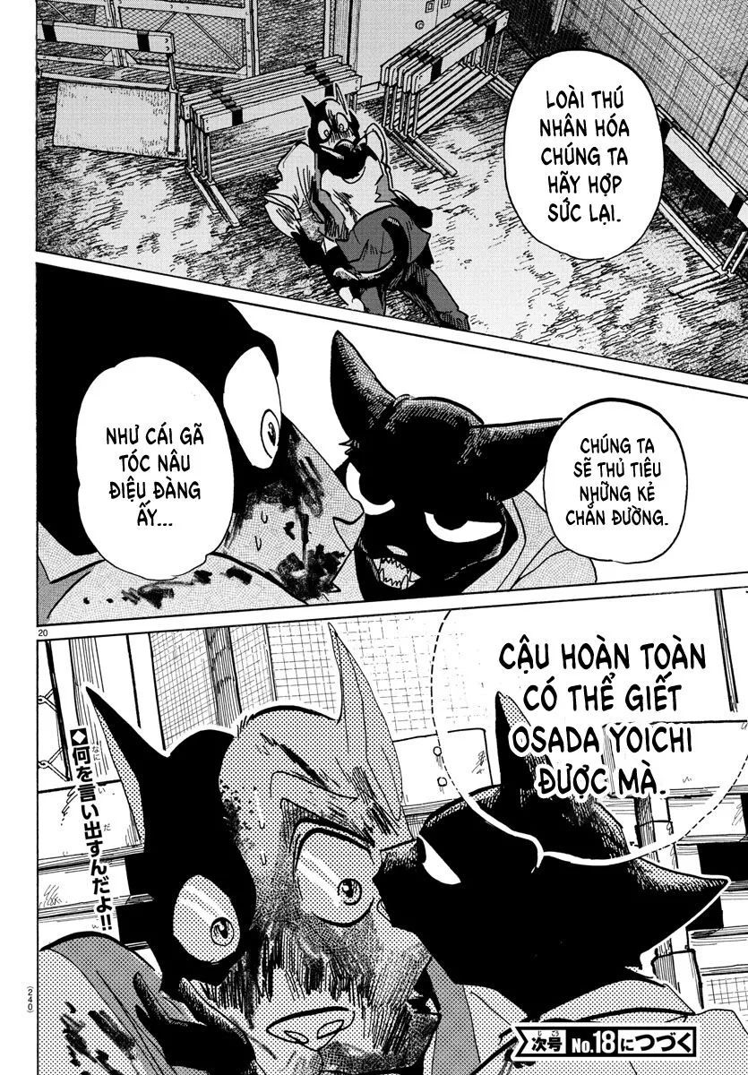 Lý Trí Của Taika - Chapter 11 - Page 19