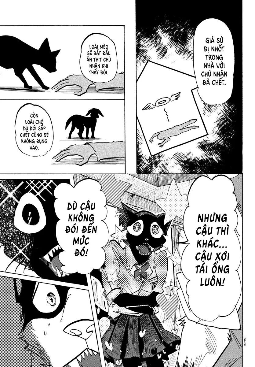 Lý Trí Của Taika - Chapter 11 - Page 3