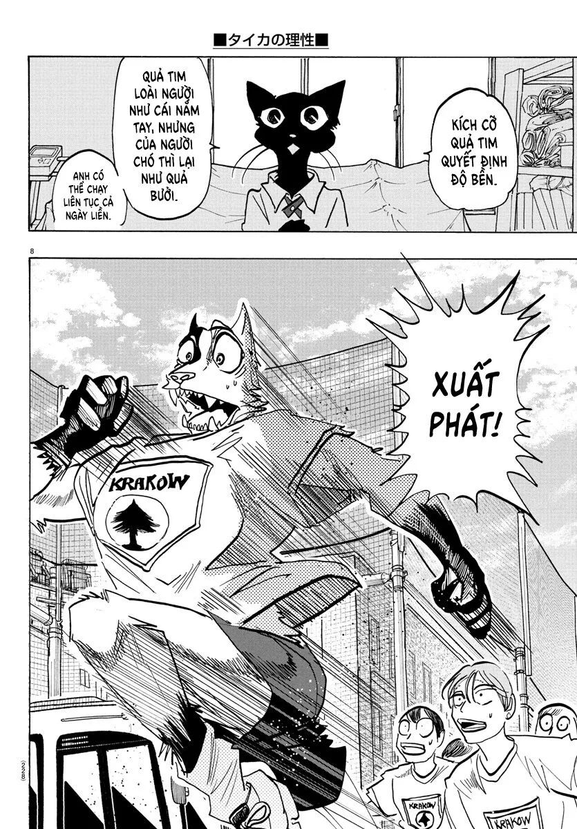 Lý Trí Của Taika - Chapter 11 - Page 8