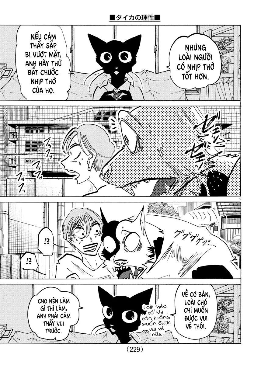 Lý Trí Của Taika - Chapter 11 - Page 9