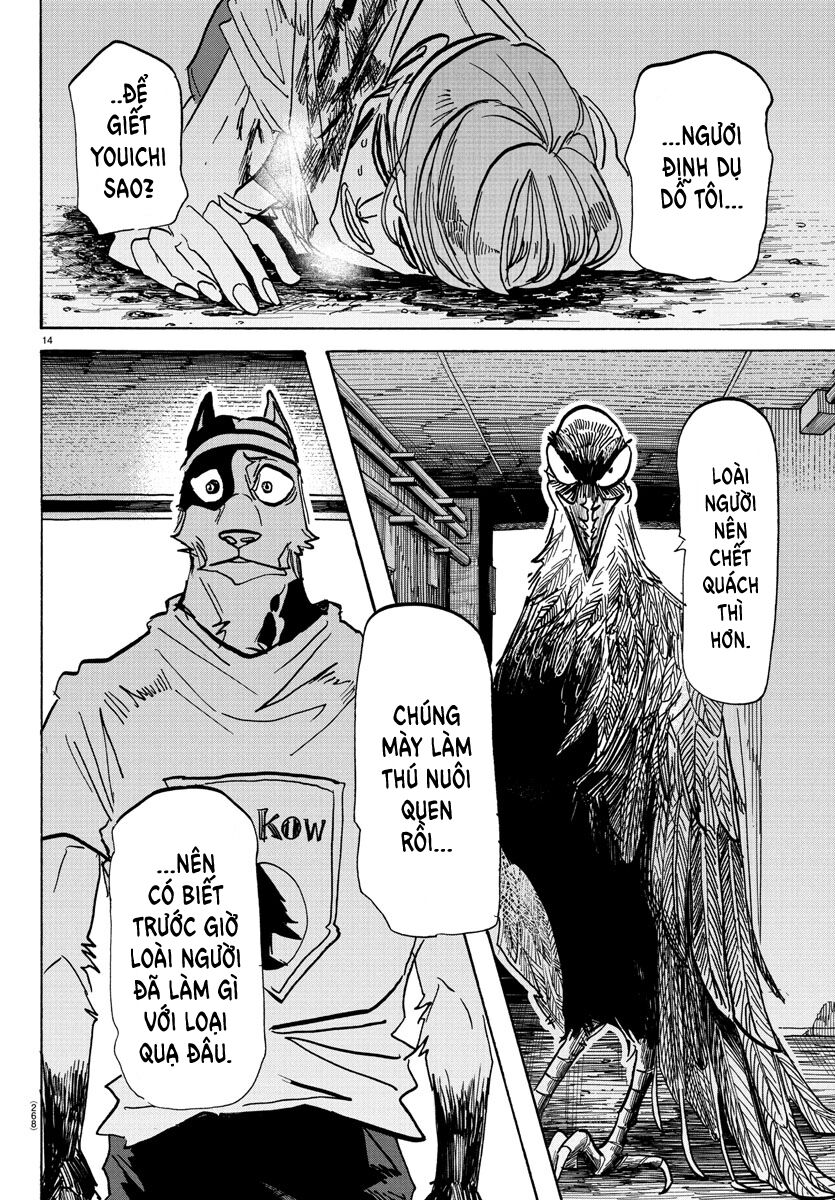 Lý Trí Của Taika - Chapter 14 - Page 11