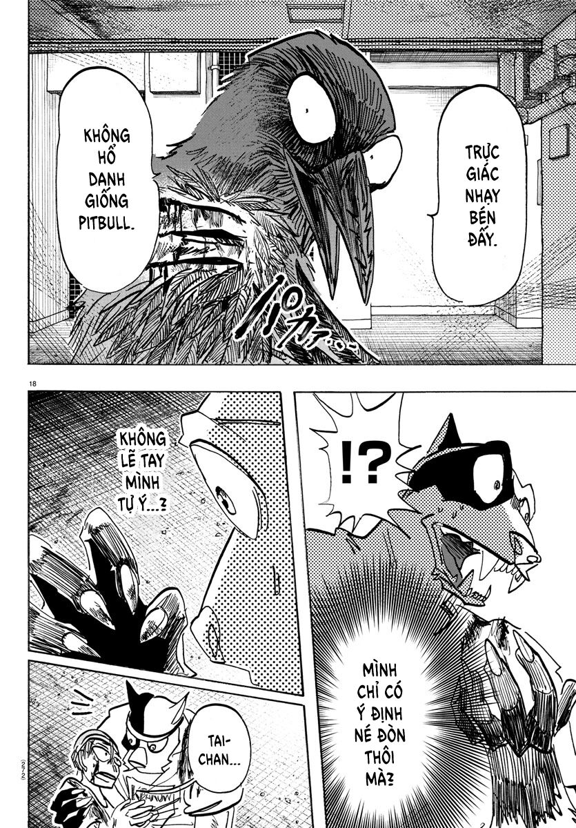 Lý Trí Của Taika - Chapter 14 - Page 14