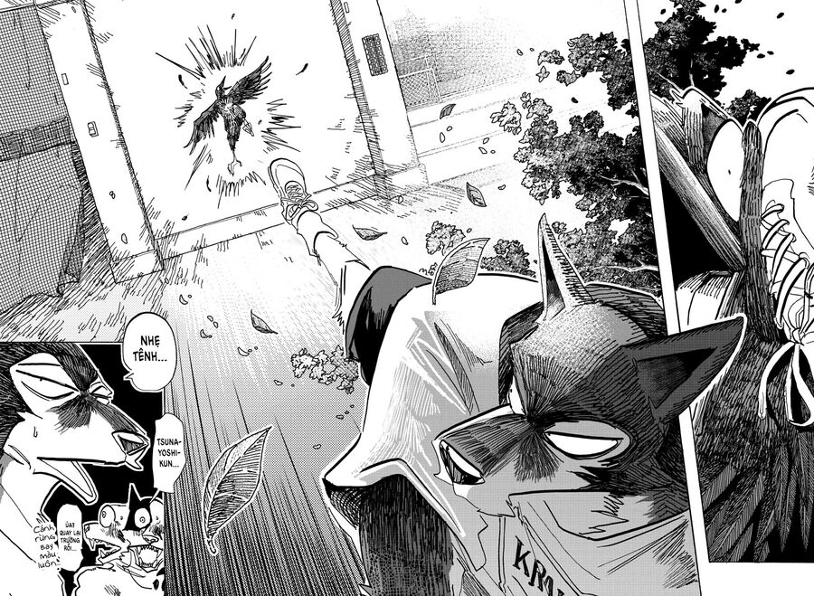 Lý Trí Của Taika - Chapter 15 - Page 15